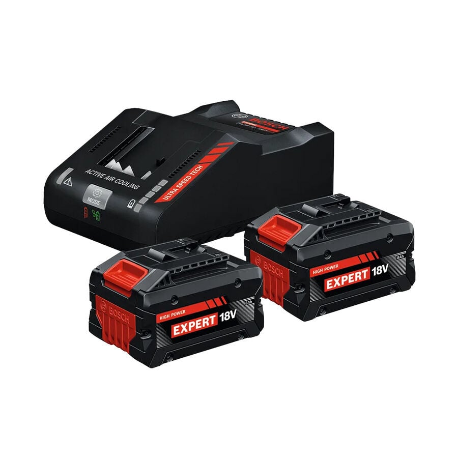 Bosch Expert Akü Şarj Cihazı ve Akü Seti 8.0 Ah 18V